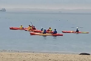 Walvis Bay: Kayaking and Sandwich Harbour Full-Day Tour