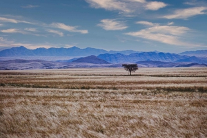 Namib Naukluft Park Landscape, Mountains & Wildlife Day Tour