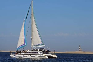 Walvis Bay: Marine Big 5 Luxury Catamaran Tour