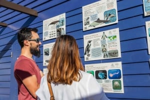 Walvis Bay: Marine Big 5 Luxury Catamaran Tour