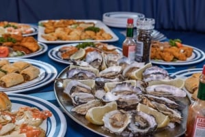 Walvis Bay: Marine Big 5 Luxury Catamaran Tour