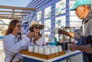 Walvis Bay: Marine Big 5 Luxury Catamaran Tour