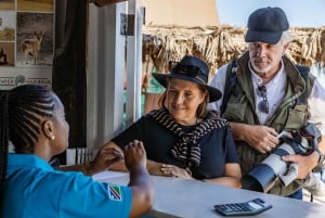 Walvis Bay: Marine Big 5 Luxury Catamaran Tour