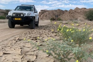 Walvis Bay: Moon Landscape Sunrise Photo Tour