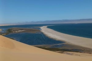 Walvis Bay: Pelican Point Guided Hike with Picnic