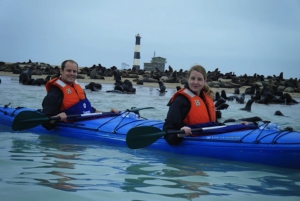 Walvis Bay: Pelican Point Kayaking Tour