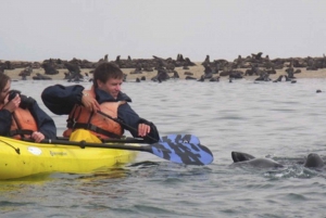 Walvis Bay: Pelican Point Kayaking Tour