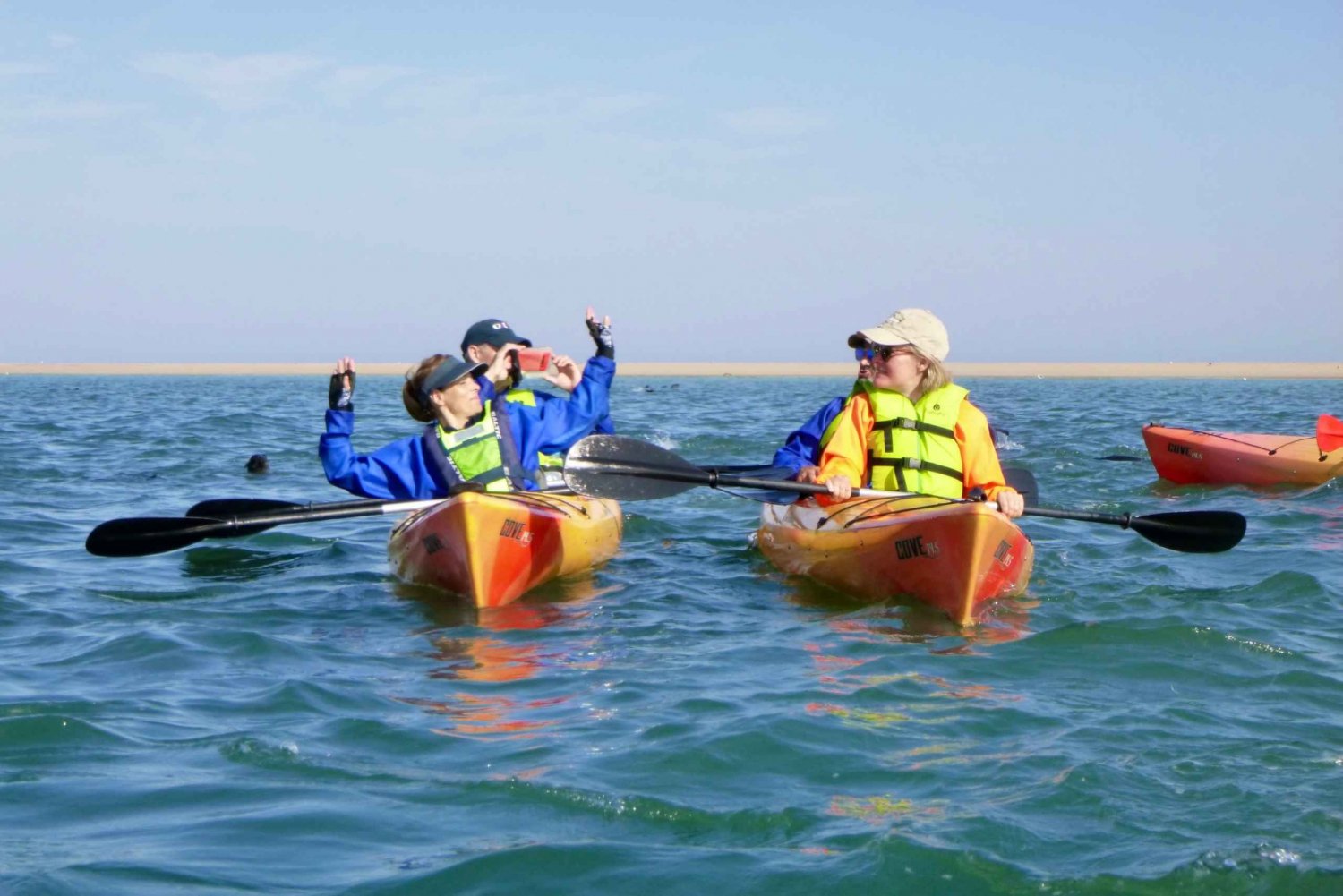 Walvis Bay: Pelican Point & Sandwich Harbor Kayak & 4x4 Tour