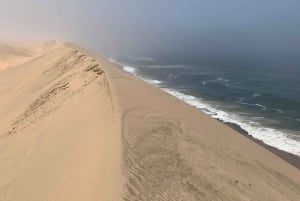 Walvis Bay: Pelican Point Seal and Sandwich Harbour Tour