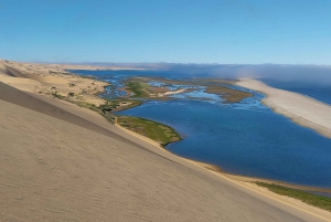 Walvis Bay: Pelican Point Seal and Sandwich Harbour Tour