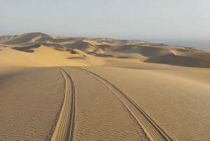 Walvis Bay: Pelican Point Seal and Sandwich Harbour Tour