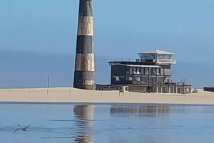 Walvis Bay: Pelican Point Seal and Sandwich Harbour Tour