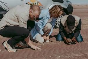 Walvis Bay: Photoshoot at Sandwich Harbour