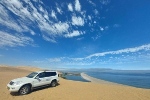 Walvis Bay: Sandboarding & Sandwich Harbour Combo Tour