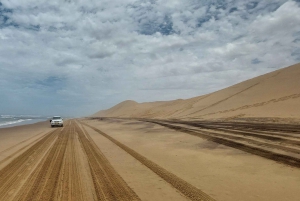Walvis Bay: Sandboarding & Sandwich Harbour Combo Tour