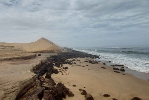 Walvis Bay: Sandboarding & Sandwich Harbour Combo Tour