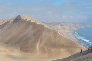 Walvis Bay: Sandboarding & Sandwich Harbour Combo Tour