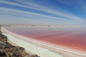 Walvis Bay: Sandboarding & Sandwich Harbour Combo Tour