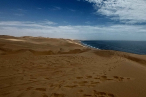 Walvis Bay: Sandboarding & Sandwich Harbour Combo Tour