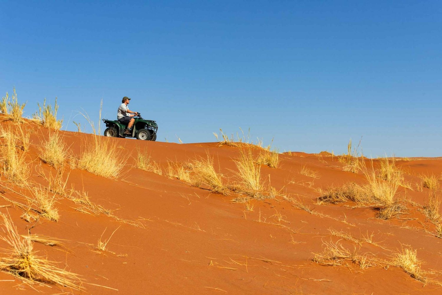 Private Sandwich Harbour 4x4 Tour with Lunch - Walvis Bay