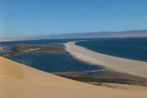 Walvis Bay: Sandwich Harbour 4x4 Tour with Lunch
