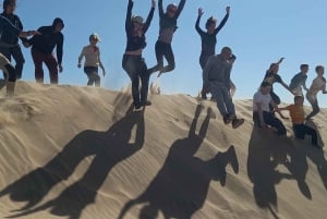 Walvis Bay: Sandwich Harbour 4x4 Tour with Lunch