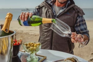 Walvis Bay: Sandwich Harbour 4x4 Trip with Beach BBQ Lunch