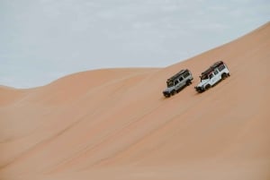 Walvis Bay: Sandwich Harbour 4x4 Trip with Beach BBQ Lunch