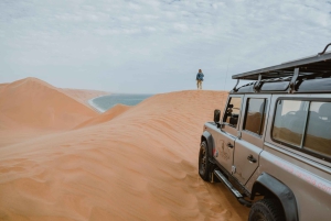 Walvis Bay: Sandwich Harbour 4x4 Trip with Beach BBQ Lunch