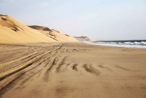 Walvis Bay: Sandwich Harbour & Pelican Point Day Trip