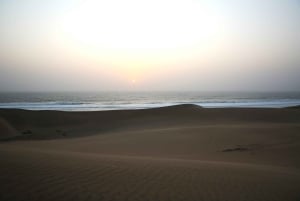 Walvis Bay: Sandwich Harbour & Pelican Point Day Trip