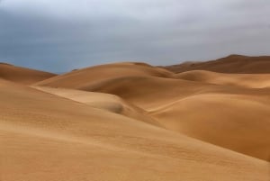 Walvis Bay: Sandwich Harbour Sunset Photography Tour