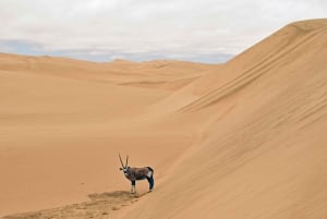 Walvis Bay: Sandwich Harbour Sunset Photography Tour