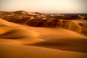 Walvis Bay: Sandwich Harbour Sunset Photography Tour