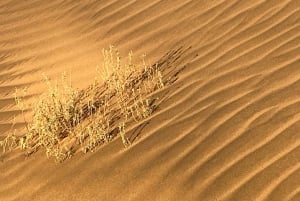 Walvis Bay: Sandwich Harbour Sunset Photography Tour