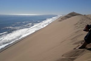 Walvis Bay: Scenic Sandwich Harbour Tour