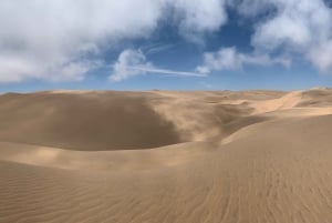 Walvis Bay: Scenic Sandwich Harbour Tour