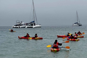 Walvis Bay: Seal Kayaking Adventure with Brunch