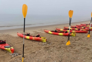 Walvis Bay: Seal Kayaking Adventure with Brunch