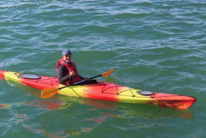 Walvis Bay: Seal Kayaking Adventure with Brunch