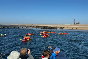 Walvis Bay: Seal Kayaking Adventure with Brunch