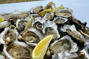 Walvis Bay: Seal Kayaking Adventure with Brunch