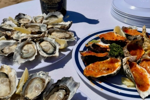 Walvis Bay: Seal Kayaking Adventure with Brunch