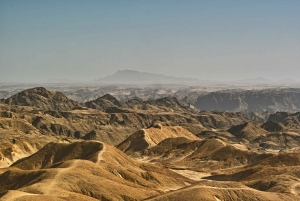 Shore Excursion: Flamingos, Dune 7, Swakopmund,Welwitshschia