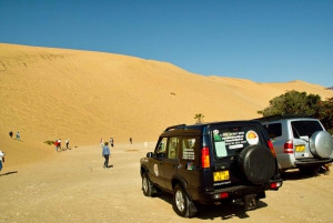 Shore Excursion: Flamingos, Dune 7, Swakopmund,Welwitshschia