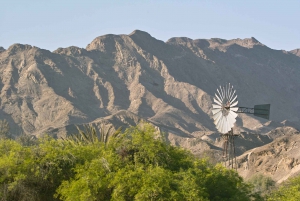 Shore Excursion: Flamingos, Dune 7, Swakopmund,Welwitshschia