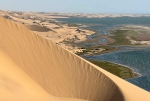 Walvisbay: Sandwich Harbour 4x4 Tour-Unparalleled Experience