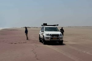 Walvisbay: Sandwich Harbour 4x4 Tour-Unparalleled Experience