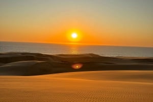 Walvisbay: Sandwich Harbour 4x4 Tour-Unparalleled Experience