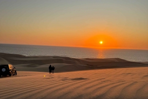 Walvisbay: Sandwich Harbour 4x4 Tour-Unparalleled Experience